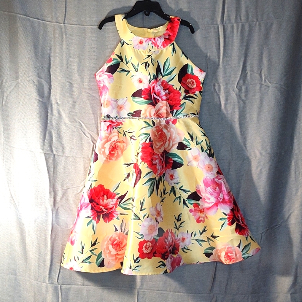 Sweet Heart Rose Dress